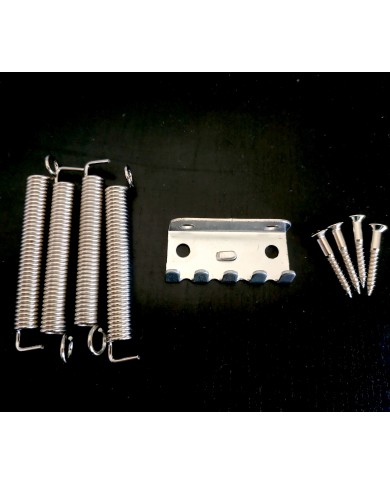 1 Federkralle + 4 Federn + 4 Schrauben für Tremolo im Stratocaster-Stil