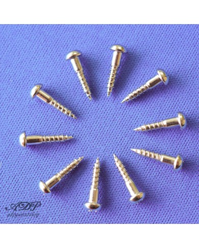 10 Gotoh Schrauben für Bassmechaniken 2.7x13mm, Bassmechanik-Schrauben, Nickel WS03N