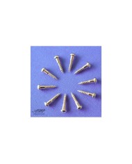 10 Gotoh Schrauben für Bassmechaniken 2.7x13mm, Bassmechanik-Schrauben, Nickel WS03N