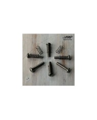 6 Saddles Intonation Screws + Springs Stainless for Stratocaster