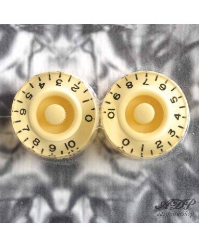 2x Speed Knobs Plexi Creme-Unterseite Bass InchSize 24-Spline-Achse Gibson LP SG Stil