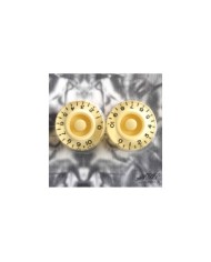 2x Speed Knobs Plexi Creme-Unterseite Bass InchSize 24-Spline-Achse Gibson LP SG Stil