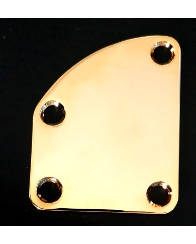 Gewölbte Halstaschenplatte Gold + 4 Schrauben