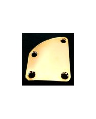 Gewölbte Halstaschenplatte Gold + 4 Schrauben