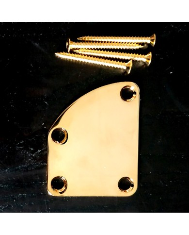 Gewölbte Halstaschenplatte Gold + 4 Schrauben
