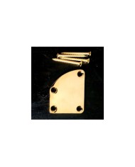 Gewölbte Halstaschenplatte Gold + 4 Schrauben