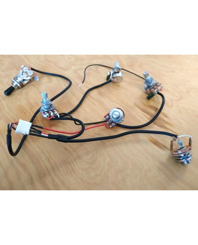 Elektronik-Set für Gitarre im Les Paul Stil