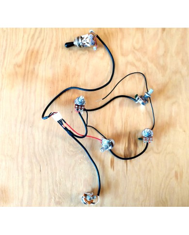 Elektronik-Set für Gitarre im Les Paul Stil