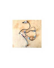 Elektronik-Set für Gitarre im Les Paul Stil