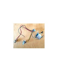Elektronik-Kit für Gitarre im Telecaster-Stil