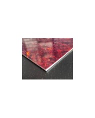 Blankes Tortoise-Pickguardmaterial, 3-lagig, 29x23,5cm (T/W/T).090"-2,29mm