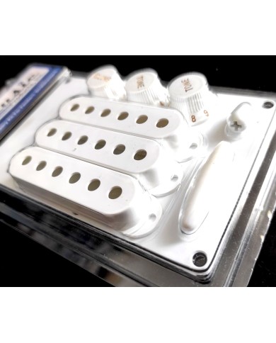 WDMusic Zubehörset Weiß für Stratocaster