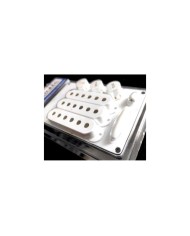 WDMusic Zubehörset Weiß für Stratocaster