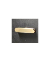 Cache Micro Telecaster® Neck Gold
