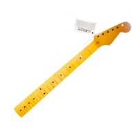 Manches Stratocaster